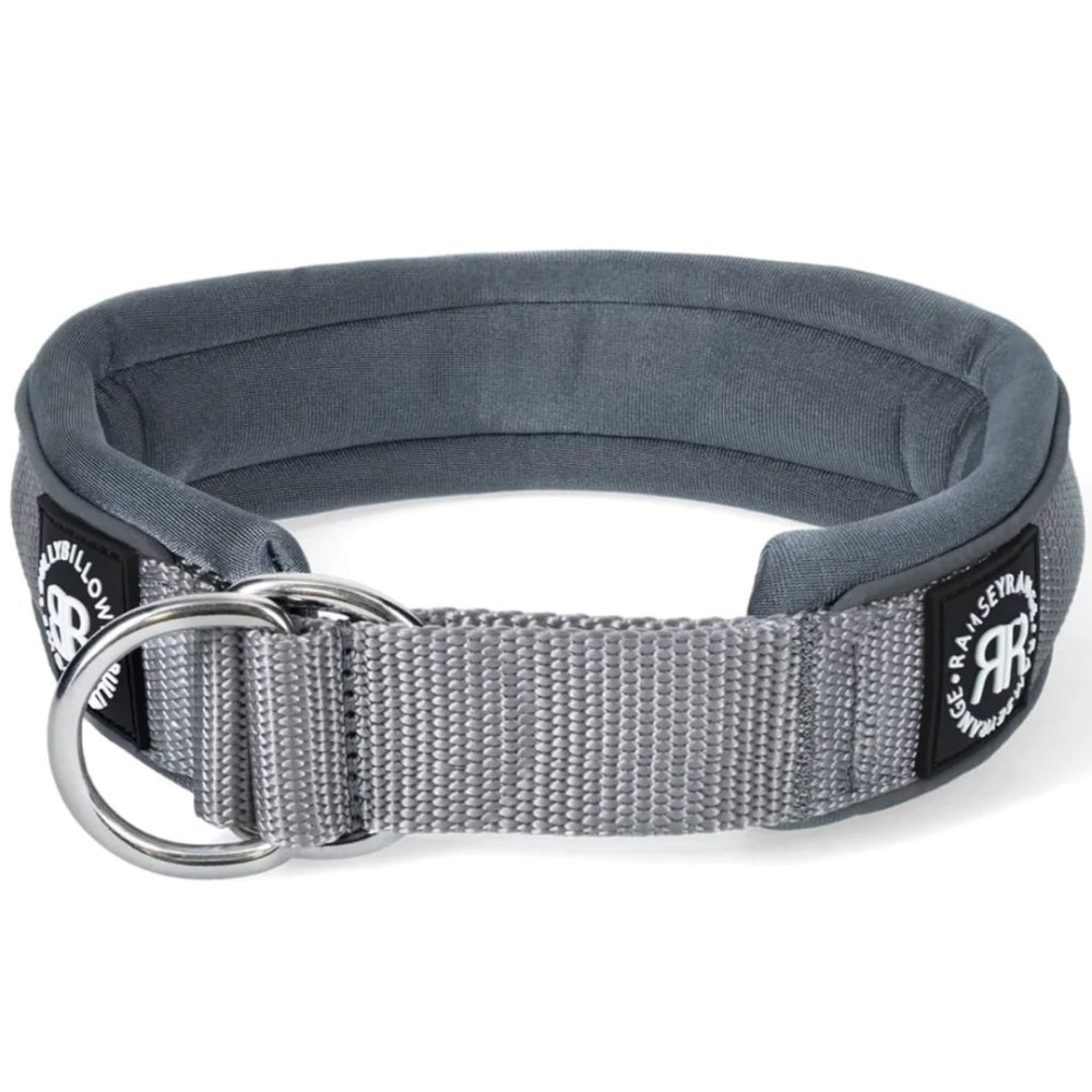 BullyBillows 4cm Slip On Collar